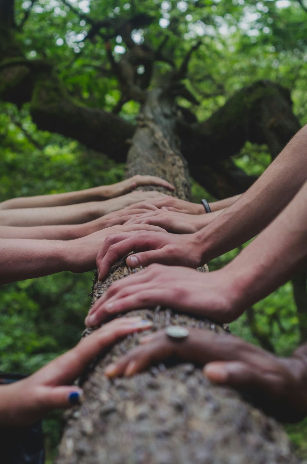 Manos sosteniéndose junto a un árbol
